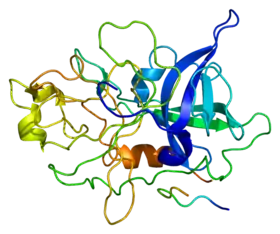 Image illustrative de l’article Urokinase