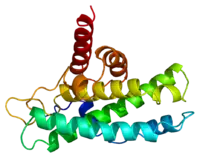 Image illustrative de l’article Protéine du rétinoblastome