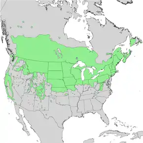 Description de l'image Prunus_virginiana_range_map_1.png.