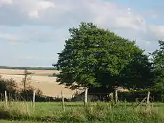 Les champs, prés et vergers depuis Prusy.