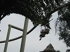 Pteranodon Flyers à Universal's Islands of Adventure