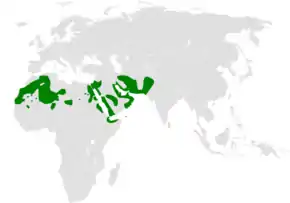 Description de l'image Ptyonoprogne_obsoleta_distribution_map.png.