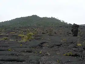 Vue du Puʻu Huluhulu depuis les coulées de lave du Mauna Ulu avec un arbre de lave sur la droite.