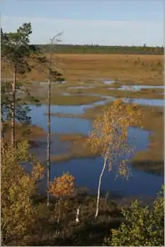 Pudasjärvi