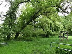 La zone humide au lieu-dit le Moulin de Fagnac, à Nanteuil-Auriac-de-Bourzac.