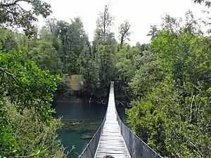 Le pont suspendu de la réserve