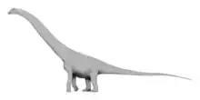 Reconstitution graphique et hypothétique de Puertasaurus.
