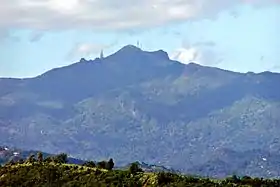 Image illustrative de l’article Forêt nationale d'El Yunque