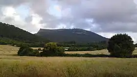 Vue du pic de Randa depuis les pinèdes des Gatoves (Algaida).