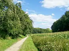 Le parcours de santé