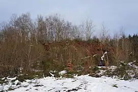 Un monticule rouge camouflé sous des arbres.