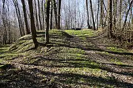Photo couleur d'un chemin montant sur un talus dans les bois.