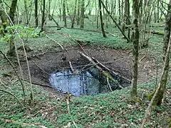 Grand trou d'eau en entonnoir recouvert de quelque troncs et branche d'arbres, en pleine forêt.