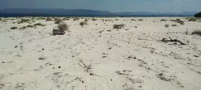 Les anciennes installations touristiques de Punta Arena ont été détruites par les ouragans.