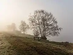 Un banc de bois près de l'étang à Put van Nederhorst. Février 2021