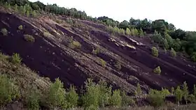 Le puy de la Nugère, flanc est (carrière de pouzzolane)