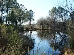 L'étang de la Narde à Puymangou