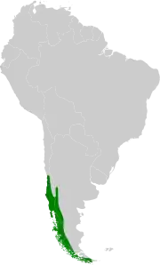 Carte de l'Amérique du Sud en gris, l'extrême sud-est en vert.