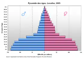 Pyramide des âges du Lesotho en 2005