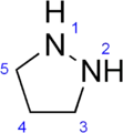 Pyrazolidine