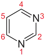 Pyrimidine