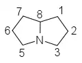 pyrrolizidine