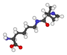 Image illustrative de l’article Pyrrolysine