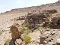 Ruines de Qa'ableh, Sanaag, Somalie