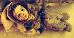 La momie d'un garçon de six mois trouvé à Qilakitsoq