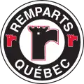 Logo actuel de l'équipe.