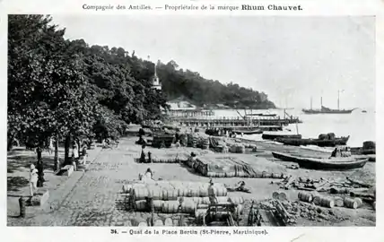 Promenade ombragée et quai pavé au nord de la place Bertin.