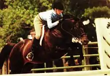 Cheval marron foncé en noir monté par un cavalier et sautant par dessus un obstacle en bois.