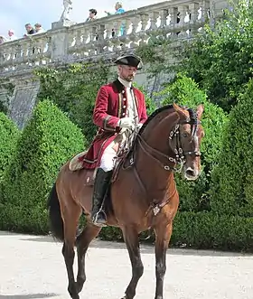 Cavalier sur un cheval marron et noir