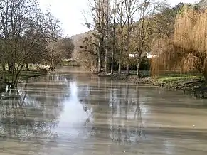 Vue d'une rivière en limite de crue.