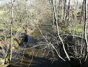 La Queue d'âne, une cinquantaine de mètres avant sa confluence avec la Côle.