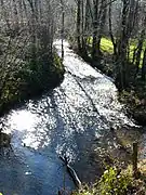 La Queue d'âne vue vers l'aval, les trente derniers mètres avant sa confluence avec la Côle.