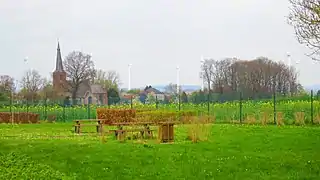 Les éoliennes.