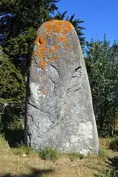 Menhir de Goulvarc'h