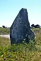 Menhir de la Pointe-de-Guéritte