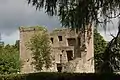 Château de Quoile, près de Downpatrick