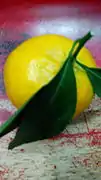 Citrus deliciosa (« mandarine »)