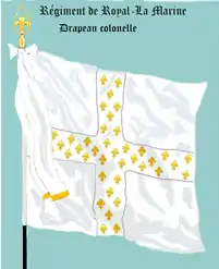 Blanc, partagé en quatre par une grande croix blanche semée de fleurs de lys d'or.