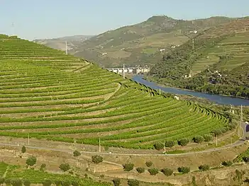 Image illustrative de l’article Vignoble de la vallée du Haut Douro