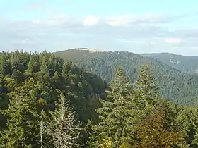 Vue sur la réserve naturelle du massif du Ventron depuis le Haut de Felsach.