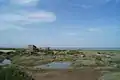 Photo de la baie de l'Aiguillon avec des zones de sansoires (salicorne), un petit bassin empli d'eau et une construction ancienne en béton ressemblant à un bunker.