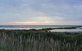 Les anciens salins dans la réserve