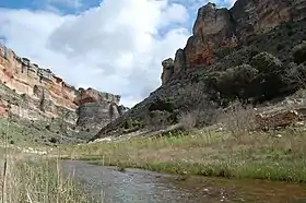 Riofrío del Llano