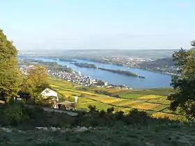 Rüdesheim am Rhein