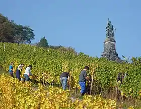 Image illustrative de l’article Vignoble du Rheingau