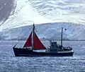 RV Hero (Antarctique)